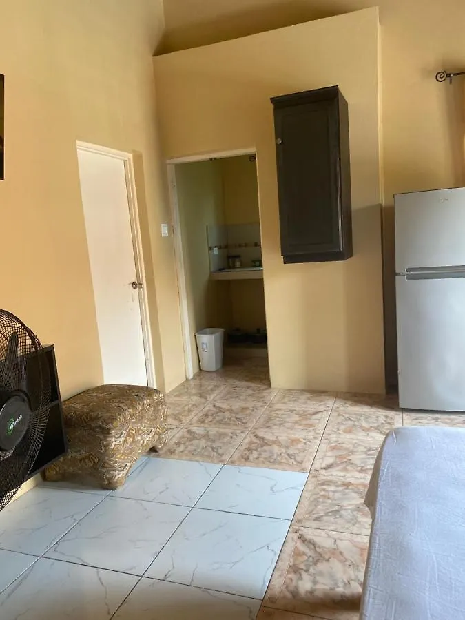 公寓 Marshan Villa 蒙特哥贝 牙买加